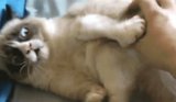 Daily GIFs: April 15, 2014 Daily GIFs: April 15, 2014