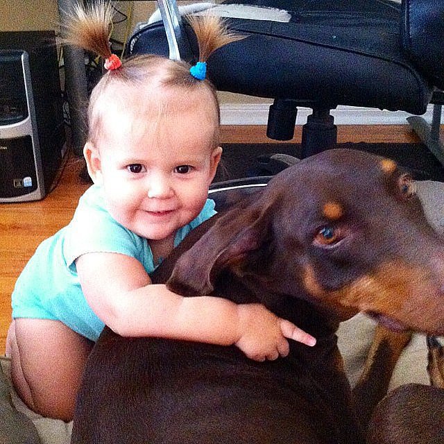 What Was He Thinking?! Daddy Hair Fails What Was He Thinking?! Daddy Hair Fails