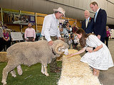 PHOTOS: William & Kate Tap into Their Animal Instincts PHOTOS: William & Kate Tap into Their Animal Instincts