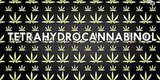 Ever Wonder How They Test Marijuana For Safety? (VIDEO) Ever Wonder How They Test Marijuana For Safety? (VIDEO)