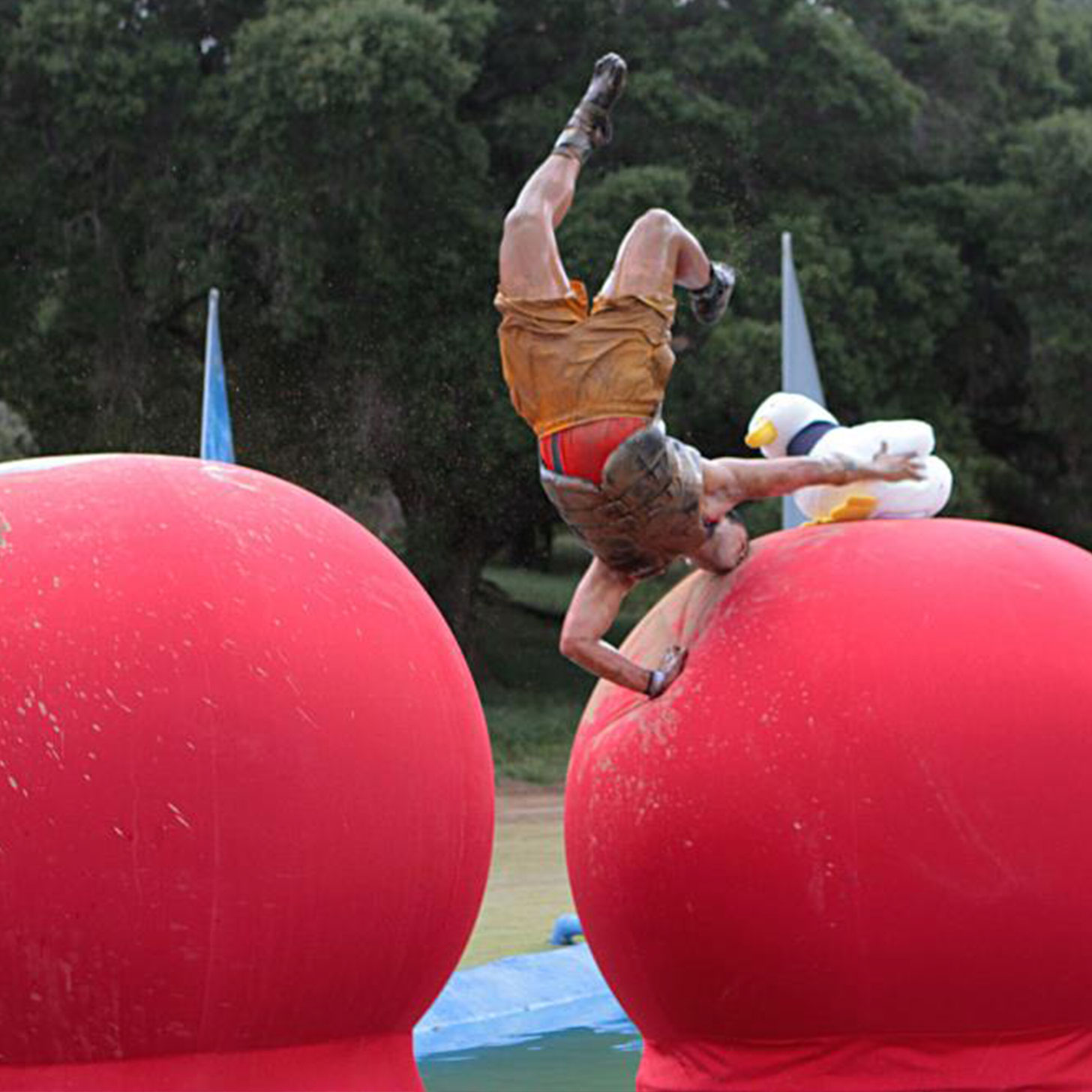 Reality TV's Biggest Prizes . . . Are They Worth It?