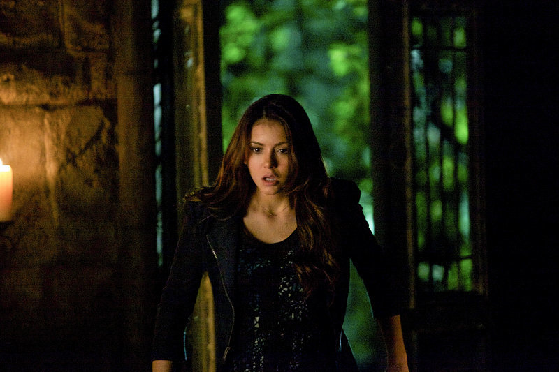 The Vampire Diaries The Vampire Diaries
