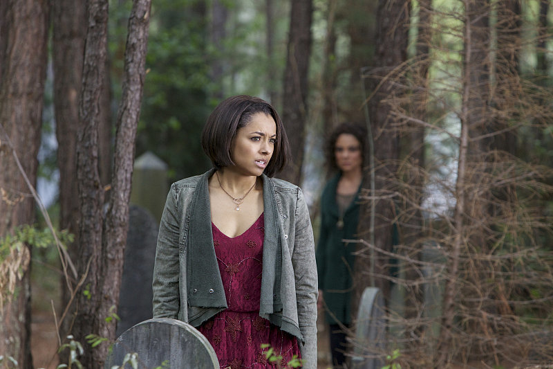 The Vampire Diaries The Vampire Diaries