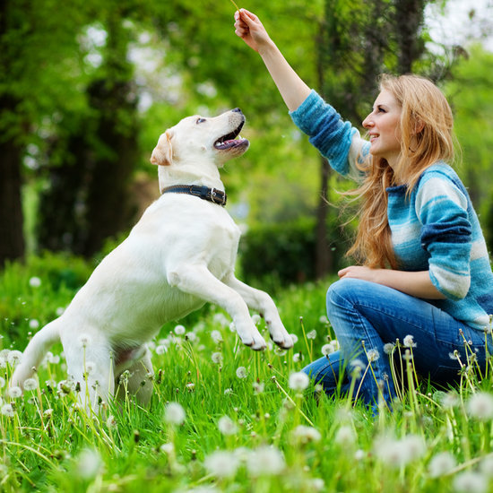 Hands-On Training: 5 Signals to Teach Your Dog Hands-On Training: 5 Signals to Teach Your Dog