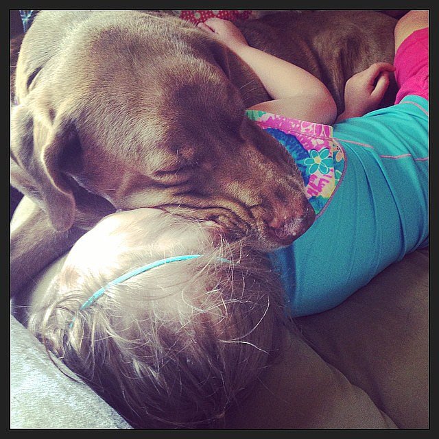 She Loves Animals She Loves Animals