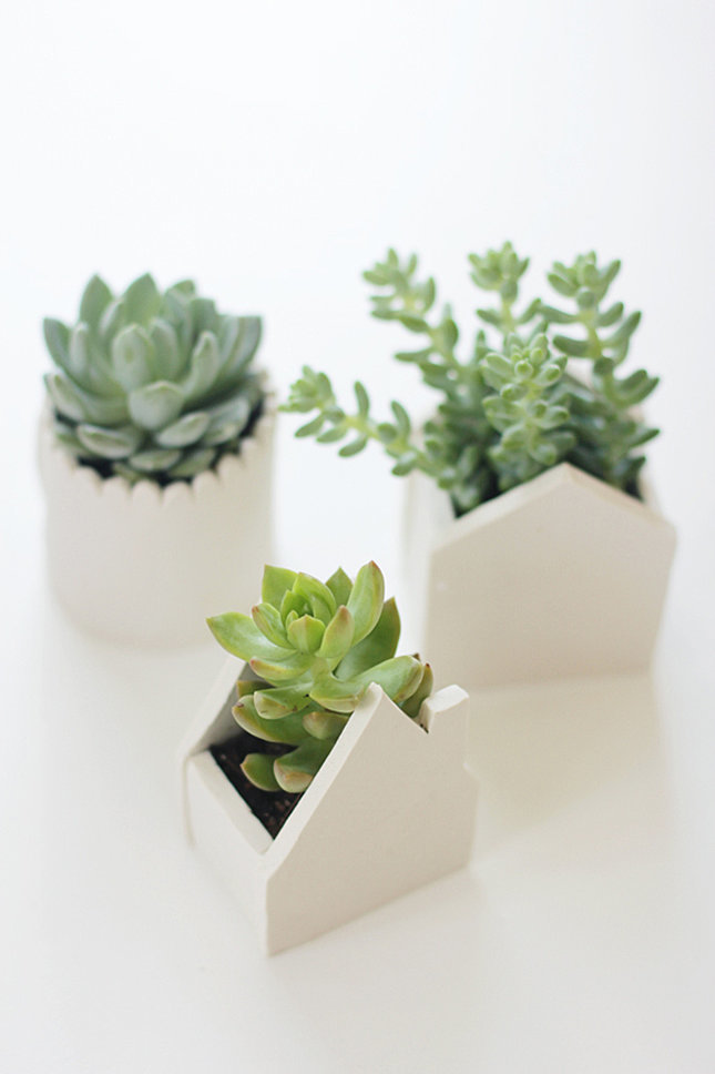 Create adorable succulent planters with these handmade clay pots.
Source: Say Yes to Hoboken
Create adorable succulent planters with these handmade clay pots.
Source: Say Yes to Hoboken