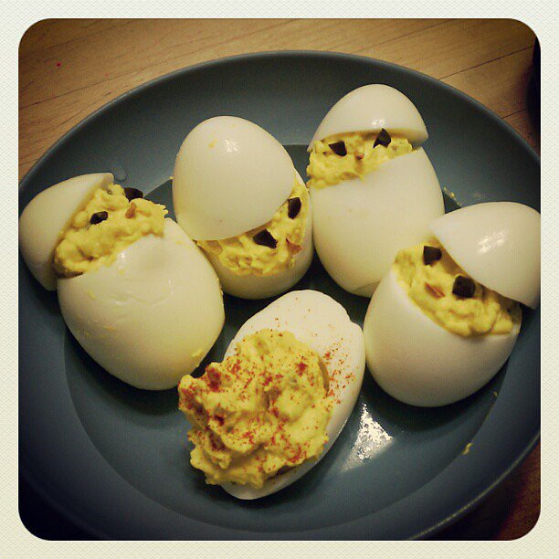 Silly Chicks Silly Chicks