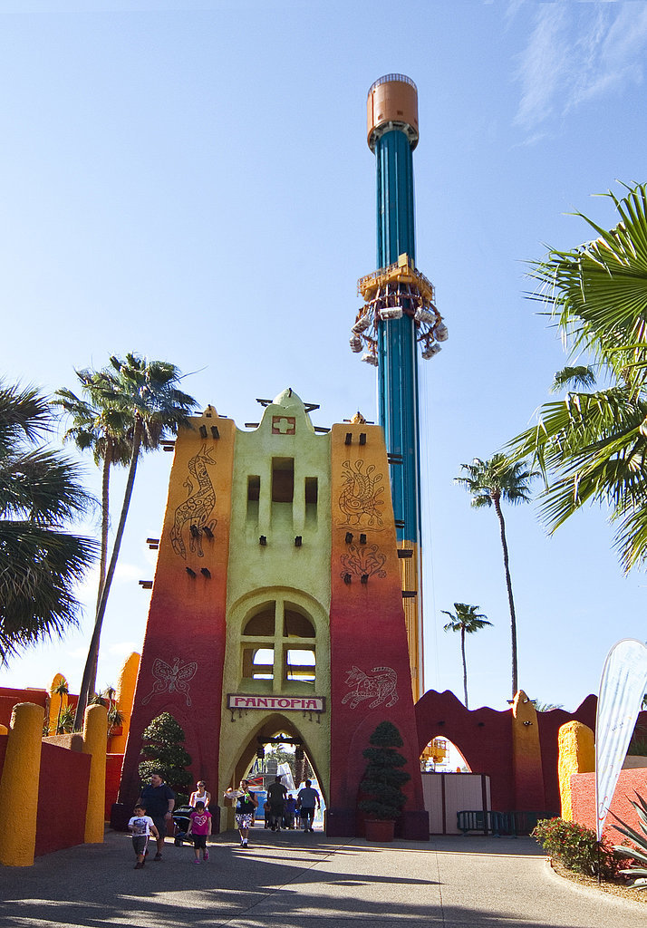 Falcon's Fury (Busch Gardens, Tampa, FL) Falcon's Fury (Busch Gardens, Tampa, FL)