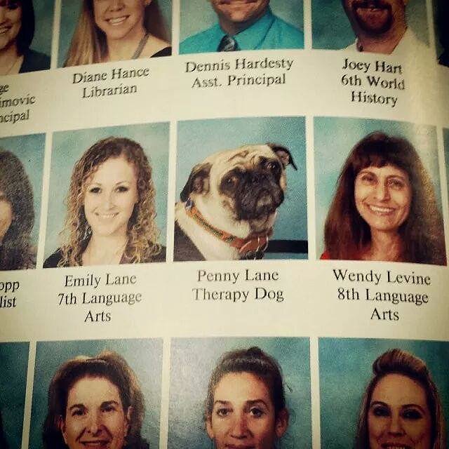 "School Yearbook."
Source: Reddit user stefeyboy via Imgur
"School Yearbook."
Source: Reddit user stefeyboy via Imgur