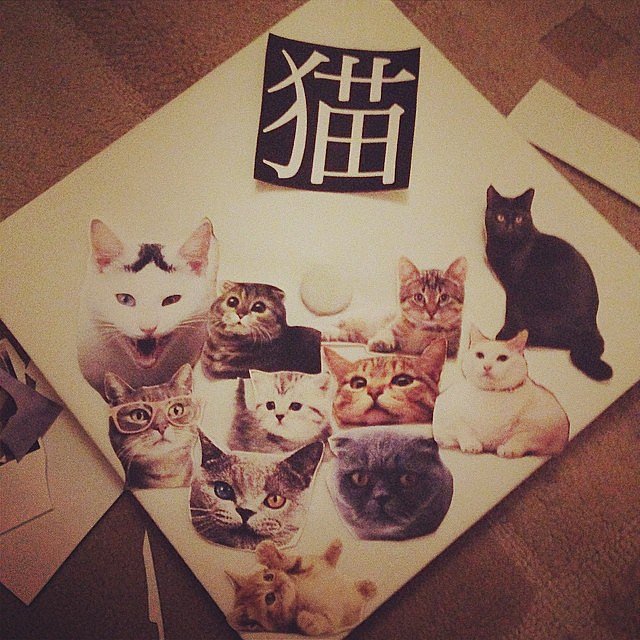 Cats because, duh.
Source: Instagram user passe_de_mode
Cats because, duh.
Source: Instagram user passe_de_mode
