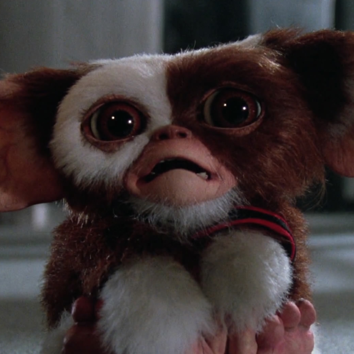 7 Facts You Probably Don't Know About Gremlins 30 Years Later