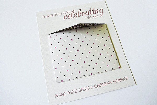 Minienvelope Thank You Cards Minienvelope Thank You Cards