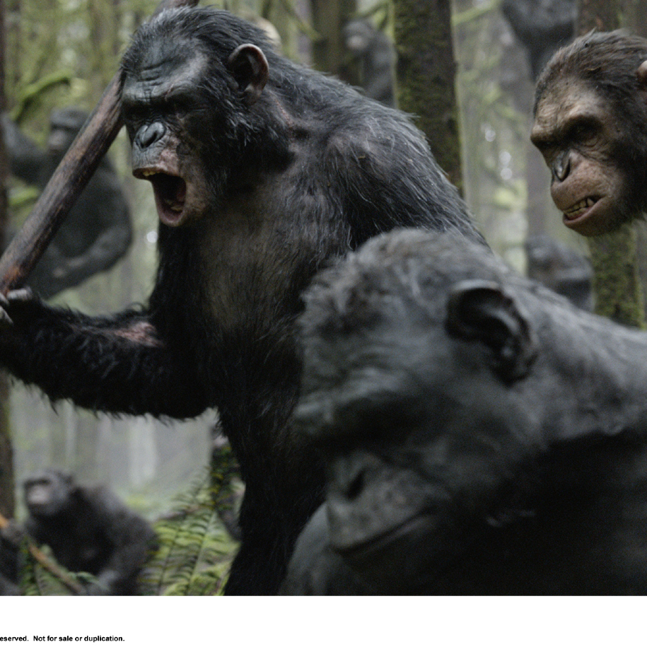 Exclusive: The Apes in Dawn of the Planet of the Apes Are Actually . . . Kind of Cute?