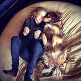 13 Times Amanda Seyfried and Her Dog, Finn, Were Impossibly Adorable
