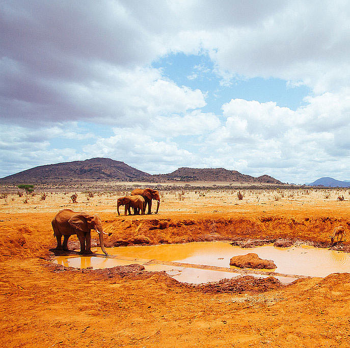 Tsavo West National Park, Kenya Tsavo West National Park, Kenya