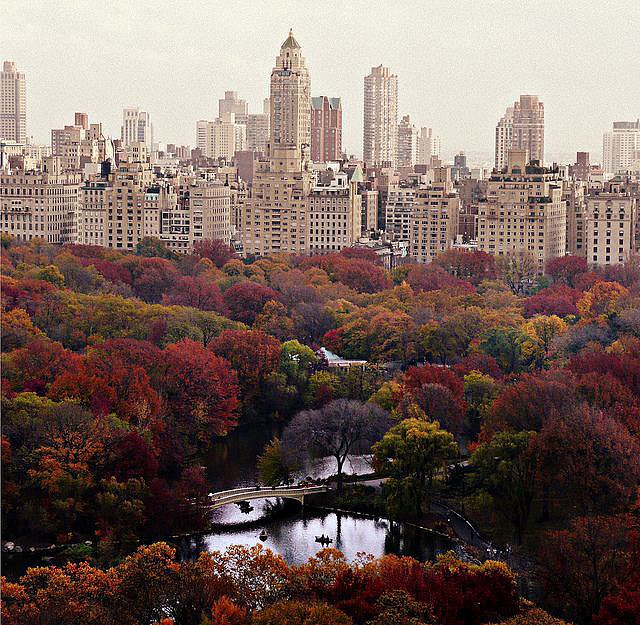 Central Park, NYC Central Park, NYC