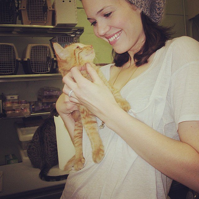 Mandy Moore Might Have the Cutest Cats Ever Mandy Moore Might Have the Cutest Cats Ever