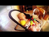 Dog begs baby’s forgiveness (WATCH!) Dog begs baby’s forgiveness (WATCH!)