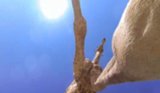 Daily GIFs: July 28, 2014 Daily GIFs: July 28, 2014