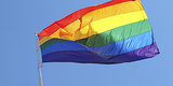 Appeals Court Strikes Down Virginia's Gay Marriage Ban Appeals Court Strikes Down Virginia's Gay Marriage Ban