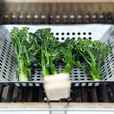 How to Grill Vegetables How to Grill Vegetables