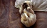 Daily GIFs: July 31, 2014 Daily GIFs: July 31, 2014