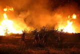 Shocking Pictures Provide Up-Close Look