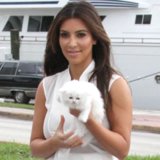 Celebrity Cat Ladies | Pictures