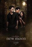Do you think the New Moon movie was better then Twilight?