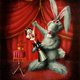 white rabbit