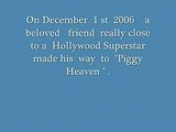 A  tribute  to  Max... a  beloved  Potbellied  Pig  and  Friend    of   George  Clooney