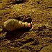 Playing in the Sandbox.