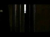 Tomb Raider - The Kill