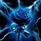 ThunderRose