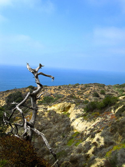 Torrey Pines Hike