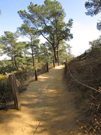 Hiking Trail at Torrey Pines