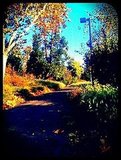 Fall