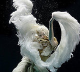Beauty Pic of the Day