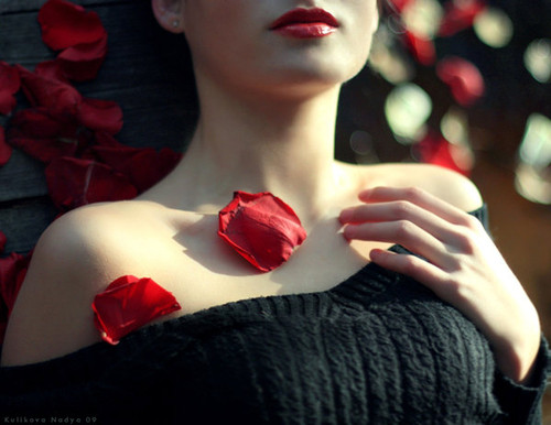 Rose Petal Thoughts