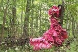 Beauty Pic Name It