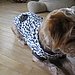 Miss Pru Gets Comfy Cozy With Handmade, Remade Clothing