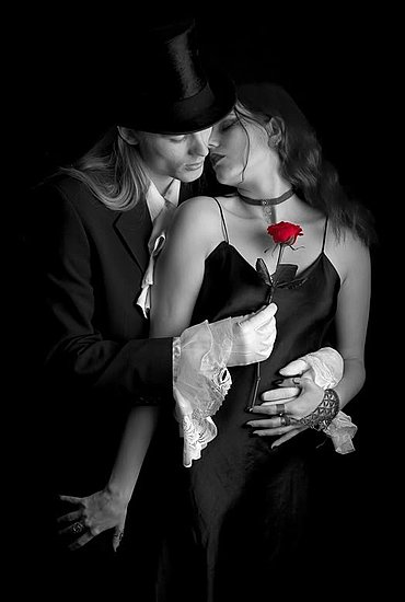 Mesmerising Rose of Lust
