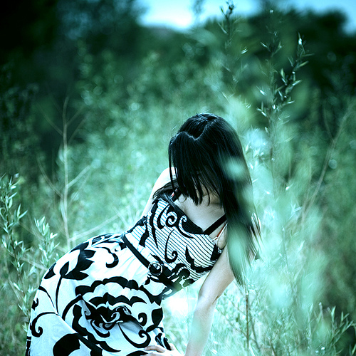Beauties of the Globe Series - Asia - Blooming Beauty!