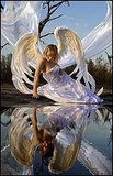 Adjusting Her Wings, The Water Nymph..