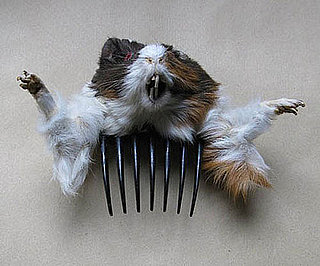 Taxidermied Hair Accessories