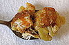 YumSugar's Top Stories For the Week 2009-10-17 09:30:37