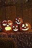 Decorations For a Pumpkin Carving Party