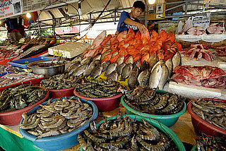 Yummy Links: From Sustainable Seafood to Baconfest