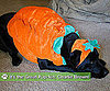 10 Lil Pup-kins in Costume