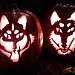 Crafty Community Member Turns Her Dogs Into Pumpkins!